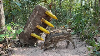 Amazing Quick Powerful Wild Pig Trap Make By big woods #shortvideo #wildboar #shortsvideo