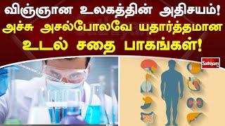 விஞ்ஞான உலகத்தின் அதிசயம்! அச்சு அசல்போலவே யதார்த்தமான உடல் சதை பாகங்கள்! | Japan