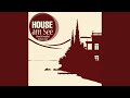 House Am See Continuous DJ Mix By Steve Josh (Pt. 2)