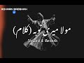 Mola Mari TobaH (Slowed Reverb)SAHIR ALI BAGGA | KALAAM | MAQAFAT | OST