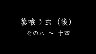 【ノイズ除去版概要欄ご参照ください】『蓼(たで)喰う虫(後)その８～14』谷崎潤一郎　安眠誘発　眠れない　眠れる　寝落ち　寝る前に聞く　不眠症対策　深い眠り　疲労回復　リラックス　　ネイティブ関西弁