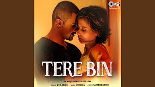 Tere Bin (Lofi Mix)