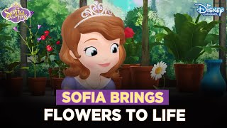 Does Sofia love all things floral?  | Sofia The First | @disneyindia