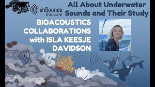 Global Bioacoustics Collaborations with Isla Keesje Davidson