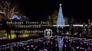 Ashikaga Flower Park Winter Illuminations Vlog 5 #足利