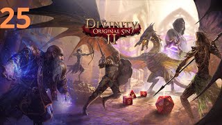 Divinity: Original Sin 2 - Reaper’s Coast - (Act 2) #25