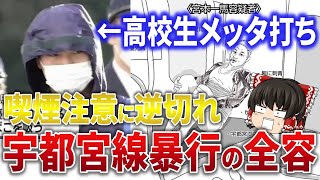 【タバコ注意動画】宇都宮線暴行事件の全容をゆっくり解説【高校生】