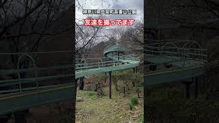 神奈川県二宮町の【吾妻山公園】に来ました。山頂に滑り台がありますよ！？ 　自分が友達を撮ってますよ！その２　#shorts