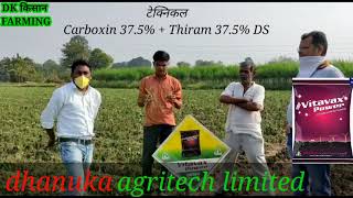 Vitavax Power# Carboxin 37.5% + Thiram 37.5% DS || seeds tritment || बीज उपचार रिजल्ट||