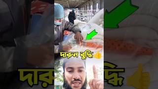 দেখুন কিভাবে বড় বড় শীতের কাপড় প্যাকেট করা হয় 😲 #shorts #viralvideo #facts #shortsfeed