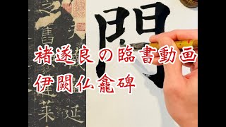 褚遂良楷書　伊闕仏龕碑3 臨書書道動画 Calligraphy shodo practice