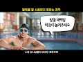 자유형 발차기 정말 이렇게 하고 있던 건가요 자유형 발차기 매번 잘못하는 이유