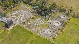 Visit Begawan Rice Fields, the Subak Temple \u0026 the Permaculture Farm Garden\u0000