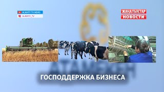 Казахстанские предприниматели получают около 100 видов господдержки