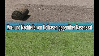 Vorteile und Nachteile von Rollrasen – Rollrasen verlegen ja oder nein / Pro \u0026 Contra / oder säen