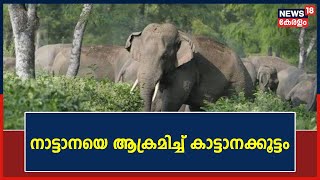 Wild Elephant Attack | Palakkad Siruvaniയിൽ നാട്ടാനയെ ആക്രമിച്ച് കാട്ടാനക്കൂട്ടം | Malayalam News