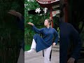 零基础学习太乙游龙拳，学会这几个基本掌法，打好基础事半功倍！ 太乙游龙拳 道家养生 太极 中华武术博大精深