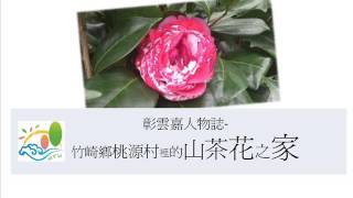 彰雲嘉人物誌-竹崎鄉桃源村裡的山茶花之家