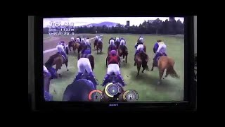 2009 有馬記念 レース ドリームジャーニー