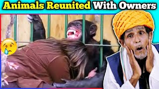 Villagers React To Animals Reunited With Owners After Years ! Tribal People React To Animals Reunite