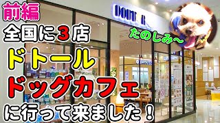 【ヨークシャテリア】全国で3店舗ドトールドッグカフェに行って来ました！「前編」