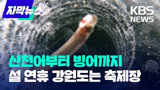 [자막뉴스] 산천어부터 빙어까지…설 연휴 강원도는 축제장 / KBS 2023.01.21.