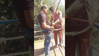 Yelagiri Hills || Adventure park Mountain View || Zip line || Must Visit Place