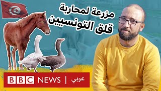 مزرعة العجائب في تونس لتخفيف الضغوطات النفسية