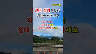 간이 살려 달라고 보내는 sos 신호 5가지 #shorts#명언#좋은글#인생명언#삶의지혜#철학#처세#자기계발#대인관계#비밀조언#행복#지