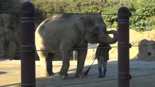 上野動物園ぶらりさんぽ 東園の巻　2018/01/13