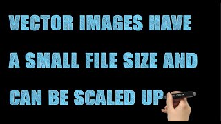 Coding for Beginners: Vector vs. Raster Images