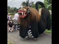 barong terbesar