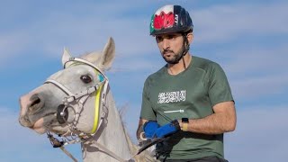 Dubai Endurance Highlights 2023