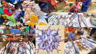 MALAD FISH 🐟 MARKET LATEST VIDEO मालाड सुप्रसिद्ध फिश  🦀🍤🐠मार्केट