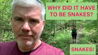 Why Did it Have to be Snakes? Exploring Cumberland Mountain State Park, TN