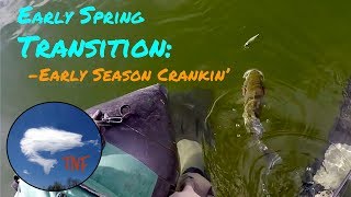 Pre PreSpawn Bass Fishing: Crankbaits: VFJ 14