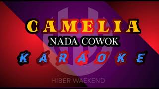 CAMELIA - karaoke nada pria [ RHOMA IRAMA]