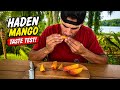 The Original Florida Mango… But Is It Any Good?