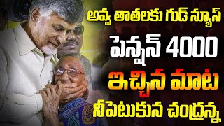 అవ్వ తాతలకు గుడ్ న్యూస్ పెన్షన్ 4000 ఇచ్చిన మాట నీపెటుకున చంద్రన్న| CM Chandrababu | Gully Politics