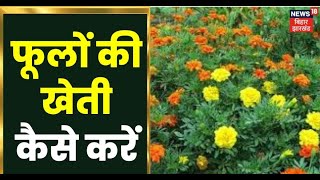 Annadata: फूलों की खेती कैसे करें ? यहां जानें ? | Phoolon Ki Kheti | Indian Agriculture