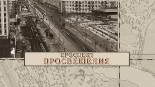 Проспект Просвещения / «Малые родины большого Петербурга»