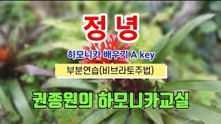 정녕 - 하모니카 배우기