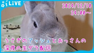 【雑談・うさぎ】うさぎのアッシュとおっさんの深夜の生ダラ配信　2024/12/10