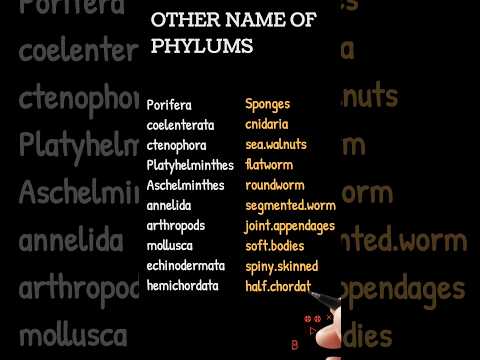 Other name of phyla class 11th animal kingdom #neet #youtubeshorts #biology #viral #shorts