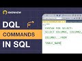 SQL DQL (Data Query Language) Commands: A Practical Approach