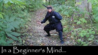 Zen Philosophy: In a Beginners Mind… | Ninjutsu Martial Arts Training Techniques (Ninpo)
