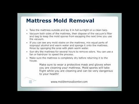 Mattress Mold Removal Mattress Mold Removal