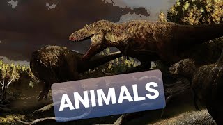 Tyrannosauridae ~ Animals