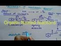 Cannizzaro Reaction (organic named reactions) class 12 organic chemistry