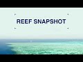 What is the Reef snapshot? | Great Barrier Reef Marine Park Authority